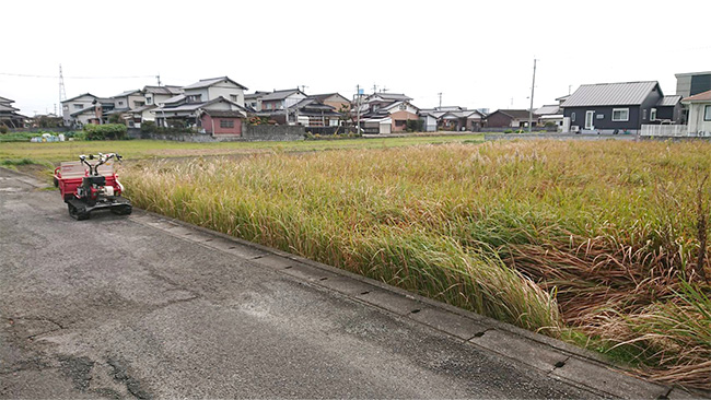 平地・傾斜地草刈り 作業前