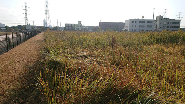 平地・傾斜地草刈り 作業前