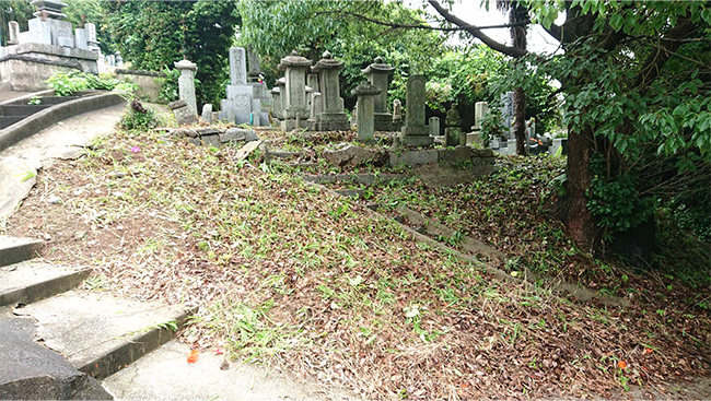 墓地の草刈りと掃除高圧洗浄機による墓石清掃