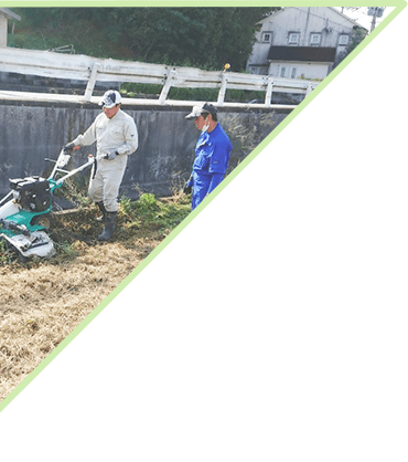 メインビジュアル