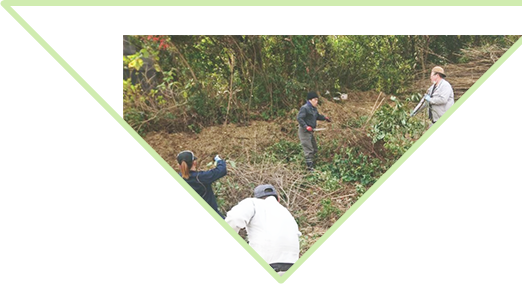 メインビジュアル